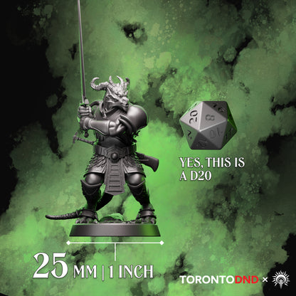 Dragonborn Fighter miniature shown beside a D20 for scale reference, mounted on a 25mm base