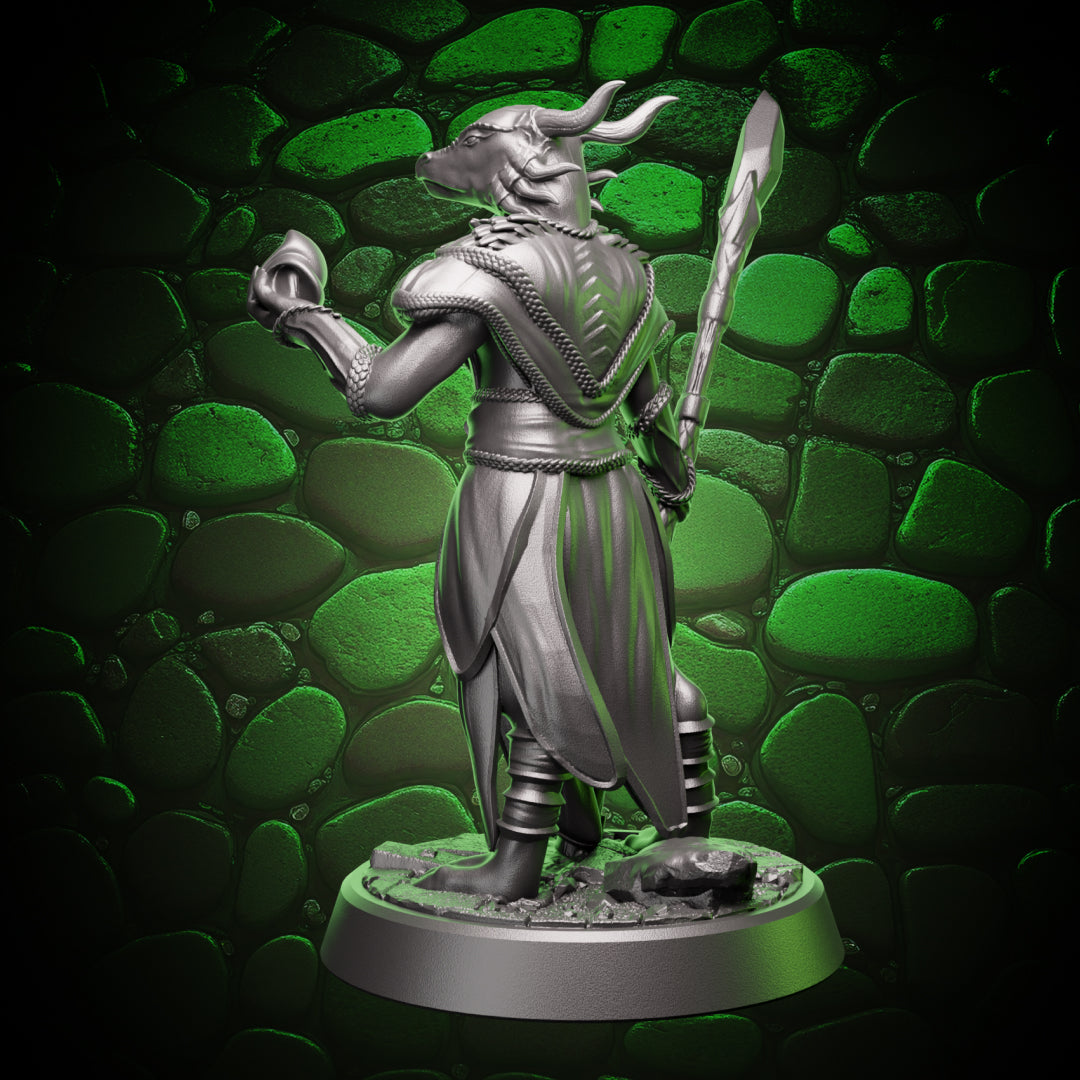 Back angle showing dragonborn sorceress robe drape and staff grip in a focused spellcasting stance