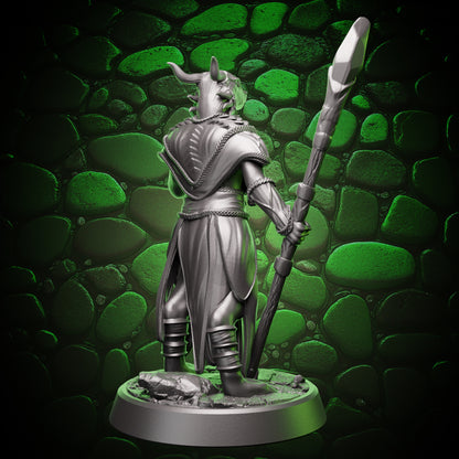 Alternate side view of dragonborn sorceress shaping a cantrip, staff and robe folds clearly defined