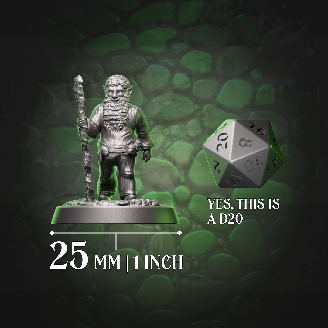 Gnome druid with staff beside a D20 for 25mm scale reference, compatible with D&D and Pathfinder