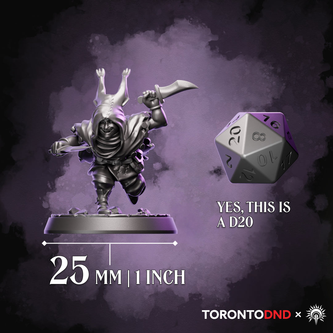High-quality resin Halfling Rogue miniature shown beside a D20 to demonstrate 25mm base scale for tabletop RPGs