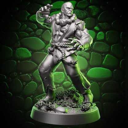 Front angle of the Human Monk Stonefist miniature standing on a rocky, grassy base with arms raised in a ready unarmed combat pose.