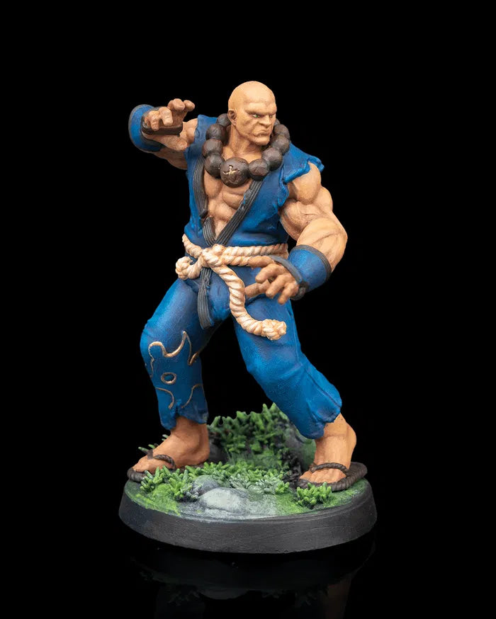 Front view of the painted Human Monk Stonefist miniature, showing his muscular build, blue gi, rope belt, and detailed grassy base on a black backdrop.