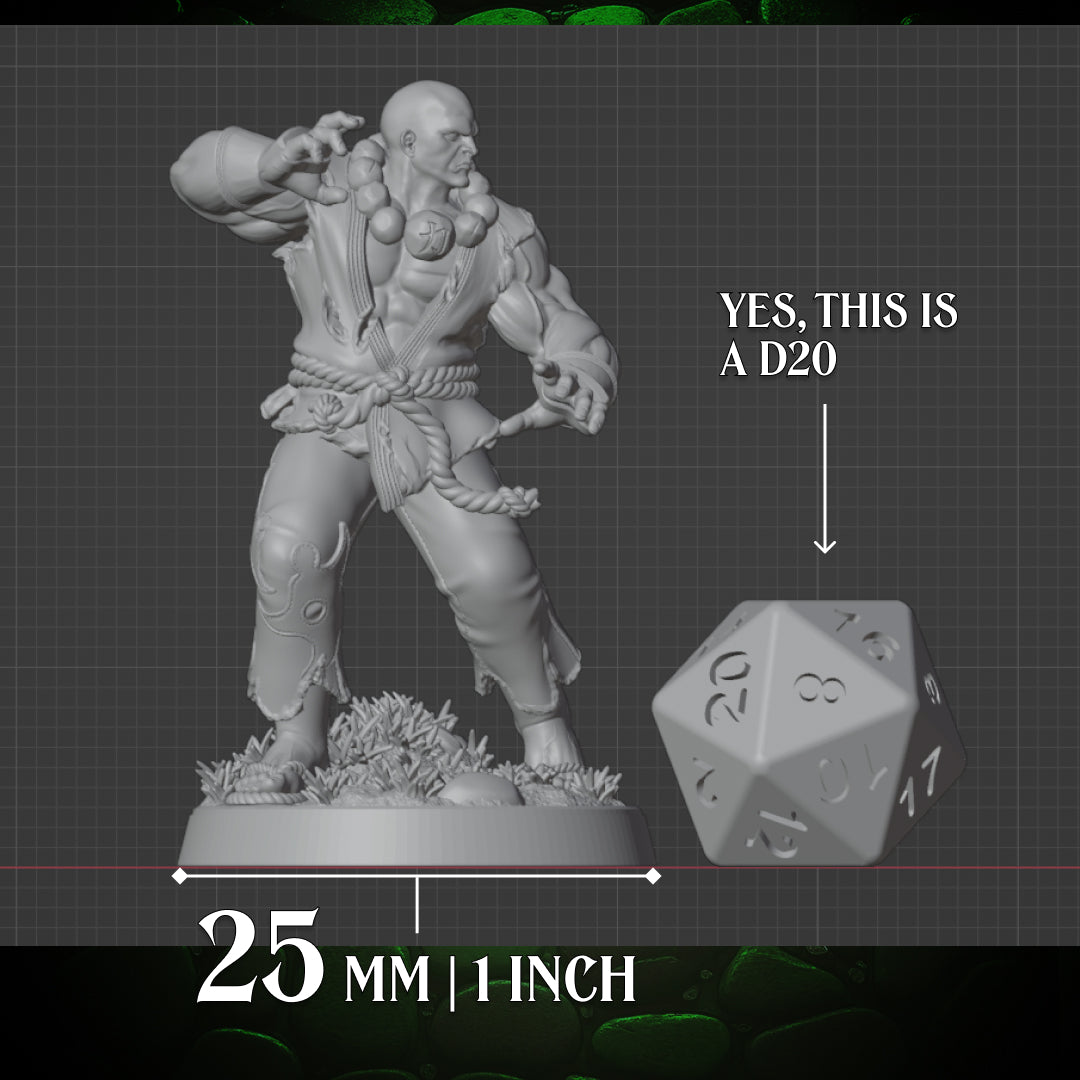 Full body render of the Human Monk Stonefist miniature on a 25 mm base beside a D20, clearly showing its tabletop scale.