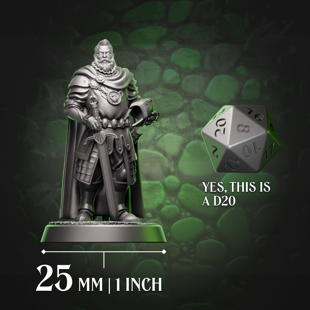 Human paladin miniature beside a D20 for 25mm scale reference, compatible with D&D and Pathfinder battle maps