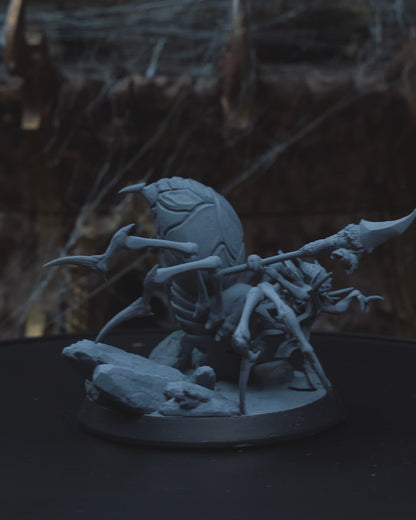 Spider Shaman | Large (2in base) | 5e