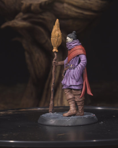 Human Sorcerer | Broom | 5e